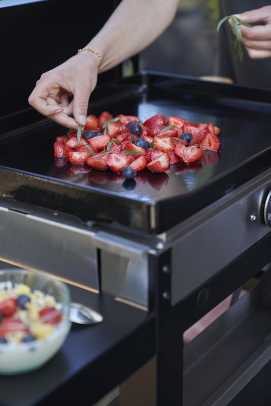 LA PLANCHA FRANCAISE Eléctrica 150 edición - Dúo Tapa, carrito, especiero y cortina incluidos