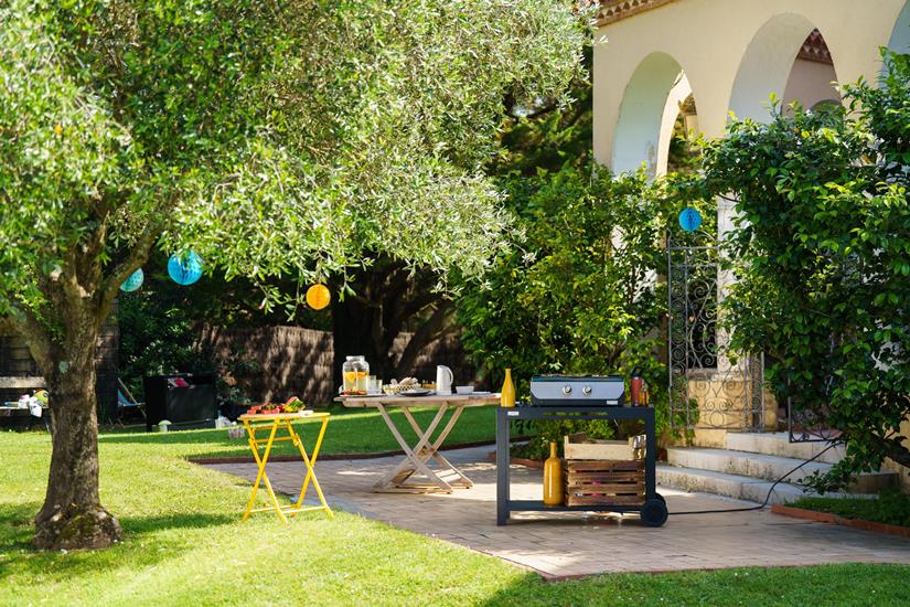 Plancha ORIGINAL Eléctrica 260 - Dúo